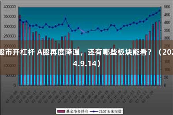 股市开杠杆 A股再度降温，还有哪些板块能看？（2024.9.14）