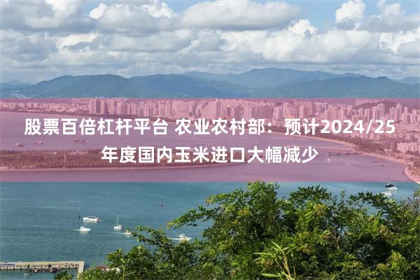 股票百倍杠杆平台 农业农村部：预计2024/25年度国内玉米进口大幅减少