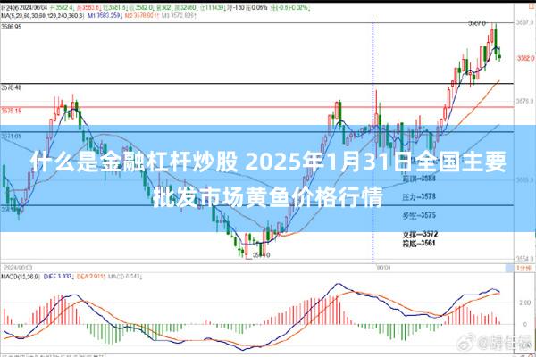 什么是金融杠杆炒股 2025年1月31日全国主要批发市场黄鱼价格行情