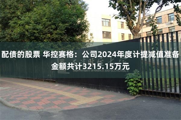 配债的股票 华控赛格：公司2024年度计提减值准备金额共计3215.15万元