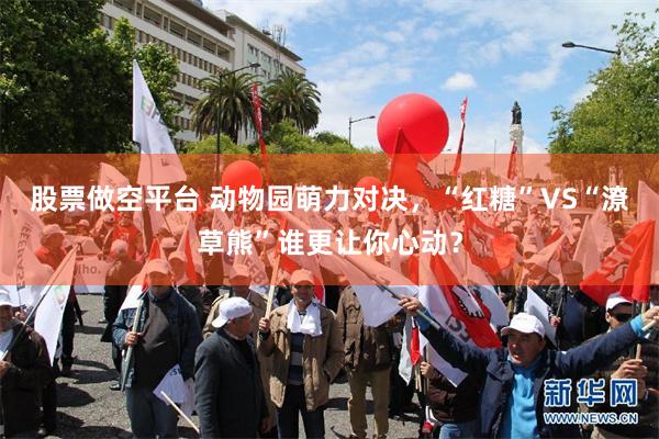 股票做空平台 动物园萌力对决，“红糖”VS“潦草熊”谁更让你心动？